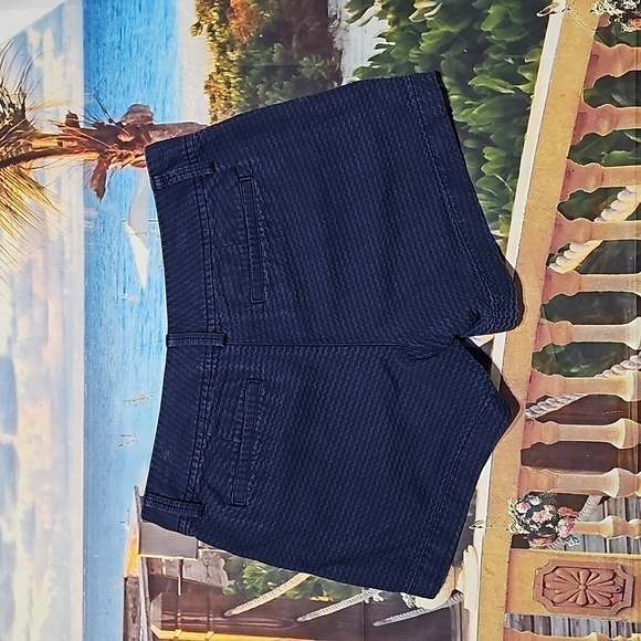 Lilly Pulitzer Callahan Shorts Size 4 - Picture 5 of 5